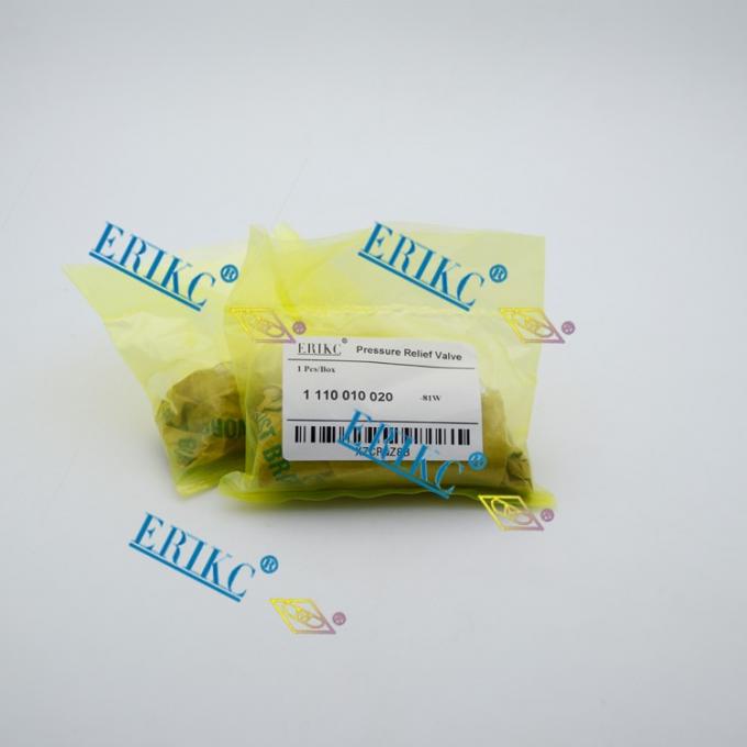 Válvula de escape de pressão comum do trilho de BOSCH 1110010020 (3) .jpg