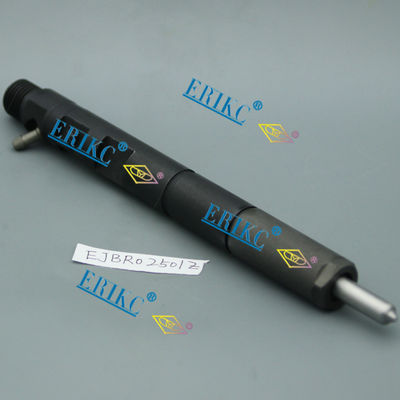 EJBR0 2501D fuel injector manufacture EJBR02501D and EJB R02501D