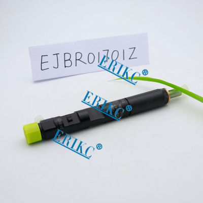 8200365186  delphi injector parts EJBR01701Z original delphi injector R01701Z ( 82 00 365 186 )and 1701Z  for Renault