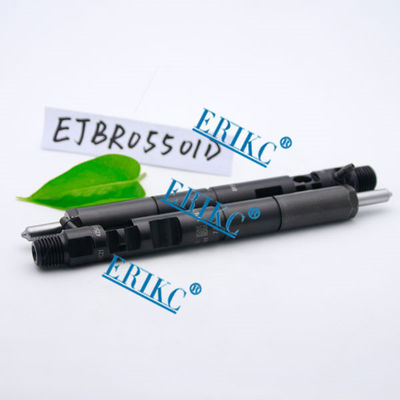 fuel injectors For Delp EJBR05501D for Hyundai/KIA ,For Delp diesel injector R05501D ( 33801-4X450 ) injector 33801 4X450