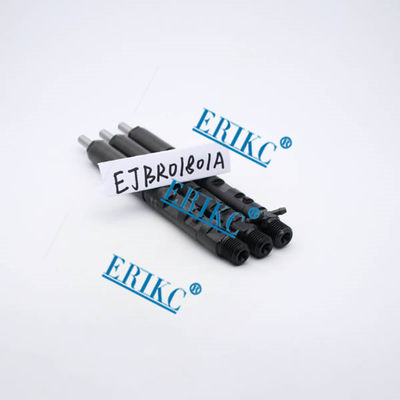 NISSAN assy fuel EJBR01801A ,For Renau EJB R01801A For Delp  injectors 82 00 365 186 EJBR0 1801A) for  NISSAN For Renau