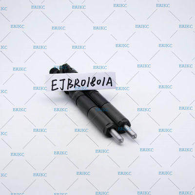EJBR01801A (82 00 365 186) For Delp original CR injector EJB R01801A For Delp diesel injector EJBR0 1801A for NISSAN RENAU