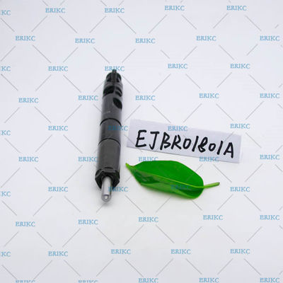 EJBR01801A (82 00 365 186) For Delp original CR injector EJB R01801A For Delp diesel injector EJBR0 1801A for NISSAN RENAU