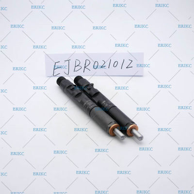 NISSAN EJB R02101Z Diesel Engine  EJBR02101Z (82 00 240 244) Fuel Injector For Renau EJBR0 2101Z For Delp injector rebuild