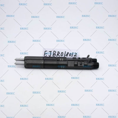 high pressure injector delphi EJBR01801Z (8200049873) injektor diesel EJB R01801Z / EJBR0 1801Z for NISSAN for Renault