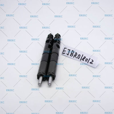 high pressure injector For Delp EJBR01801Z (8200049873) injektor diesel EJB R01801Z / EJBR0 1801Z for NISSAN For Renau