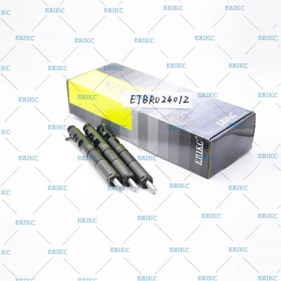 EJBR02401Z For Delp injector EJB R02401Z injector ejbr EJBR0 2401Z For Delp common rail injectors for KIA
