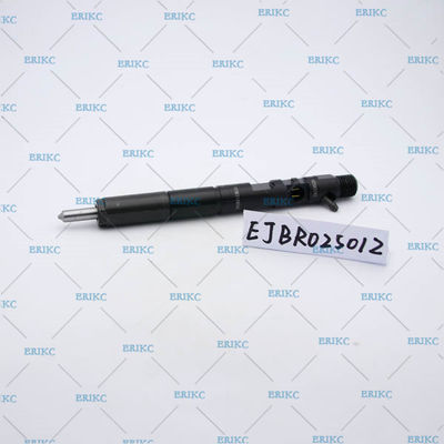 For Delp diesel injector EJBR02501Z For Delp common rail injector EJB R02501Z original For Delp injector EJBR0 2501Z