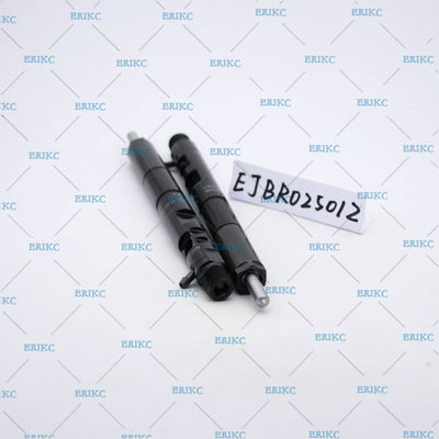 For Delp diesel injector EJBR02501Z For Delp common rail injector EJB R02501Z original For Delp injector EJBR0 2501Z