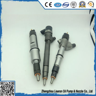ERIKC 0445110493 original fuel injector 0 445 110 493 and common rail diesel injeciton assy 0445 110 493 for auto MWM