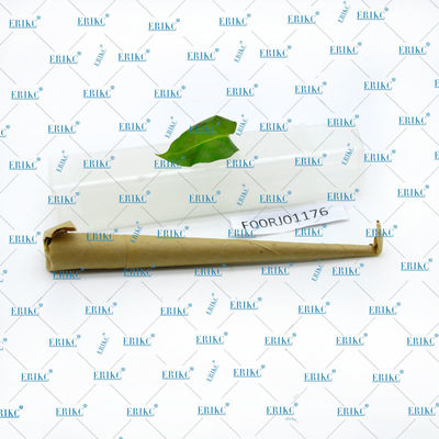 YIWEIKE F00RJ01176 Long warranty For BOS fuel tank control valve F 00R J01 176 and FOOR J01 176 for 0445120036