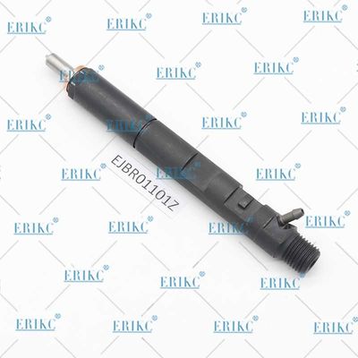 ERIKC EJBR01101Z Electronic Unit Injectors EJB R01101Z Auto Fuel Injection EJBR0 1101Z For Delp