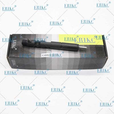ERIKC 253 401 160 119 EJBR03501D Fuel Pump Injector EJB R03501D Jet Injection EJBR0 3501D for TATA