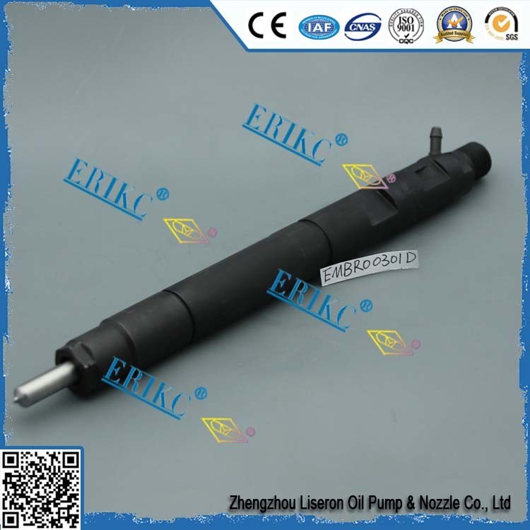 SSANG YONG Peugeot EMB R00301D injector rebuild 9686191080 and EMBR0 0301D injector For Delp  28236381