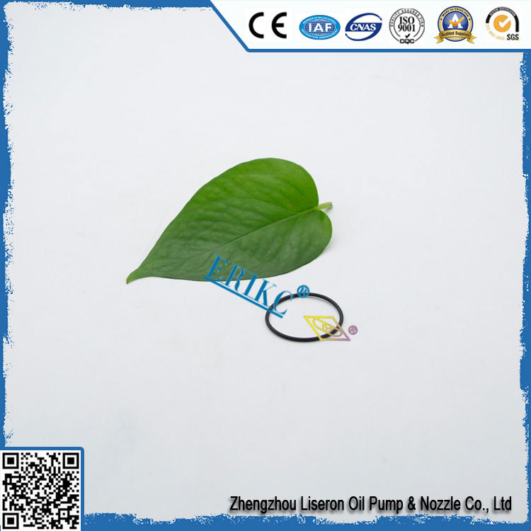 O'RING DRV  F00RJ00220 For BOS with o-ring section F00R J00 220 / F 00R J00 220