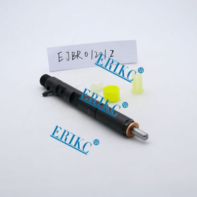 Injetor comum EJBR01201Z do trilho de NISSAN delphi e injetores novos delphi EJB R01201Z do injetor EJBR0 1201Zfuel para NISSAN fornecedor