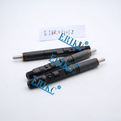 Injetor comum EJBR01201Z do trilho de NISSAN delphi e injetores novos delphi EJB R01201Z do injetor EJBR0 1201Zfuel para NISSAN fornecedor